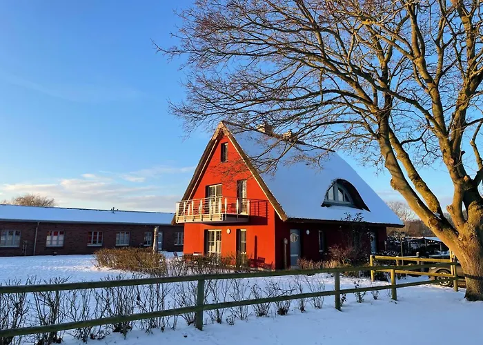 Hofblick Gut Gustrowerhöfen Ferienhaus